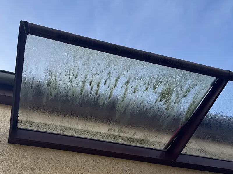 Glasdach vor der Reinigung